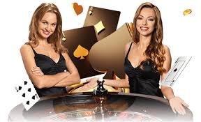 wpt global app